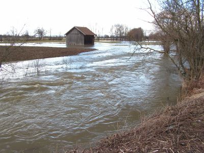 Hochwasserführende Mattig nördlich von Uttendorf (Spätwinter 2005/2006). 