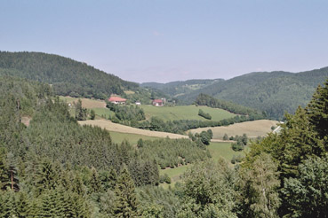 Landschaft bei Unterweißenbach 