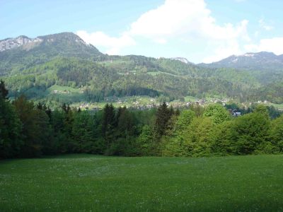 Landschaftsraum in Bad Goisern mit Zersiedelungserscheinungen (Blick Richtung Osten) 