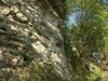 Ausgewitterter Sandsteinfels mit Hainbuchen-Feldahornumrahmung in Thurnhof bei Perg.