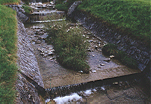 Gewässerbauliche Maßnahmen am Alexenauerbach 