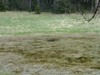 Kleiner Krottensee 