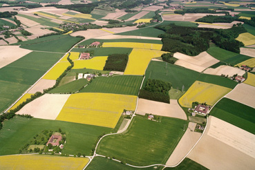 Landwirtschaftliche Produktionslandschaft bei Hargelsberg