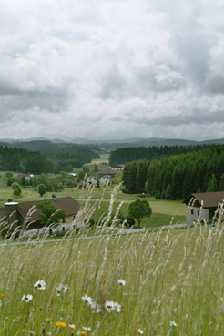 Ortschaft Pürstling