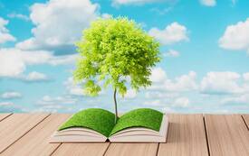 Ein Baum mit grünen Blättern wächst aus einem aufgeschlagenen Buch heraus - dahinter ein wolkiger blauer Himmel