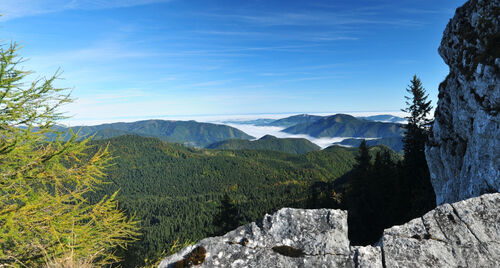 Panoramablick auf die Waldwildnis des Hintergebirges.
