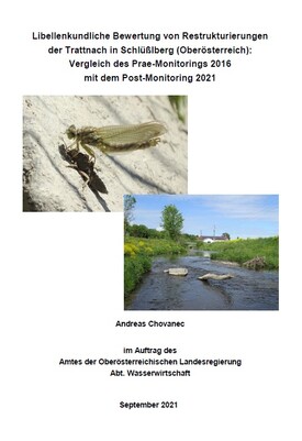 Libellenbericht Trattnach 2021