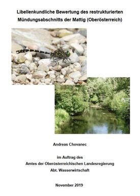 Titelbild Libellenbericht Mattig (sitzende Libelle auf Stein und unverbauter Bachabschnitt von grünen Sträuchern und Bäumen umsäumt)