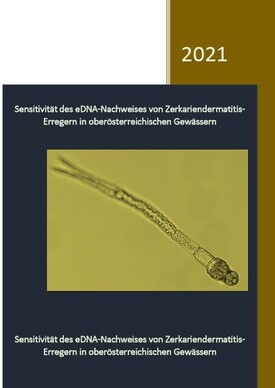 Titelbild Zerkarienbericht-2020-V2