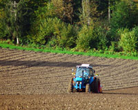 Traktor auf Getreidefeld (Foto: Kurt Michel, pixelio.de)