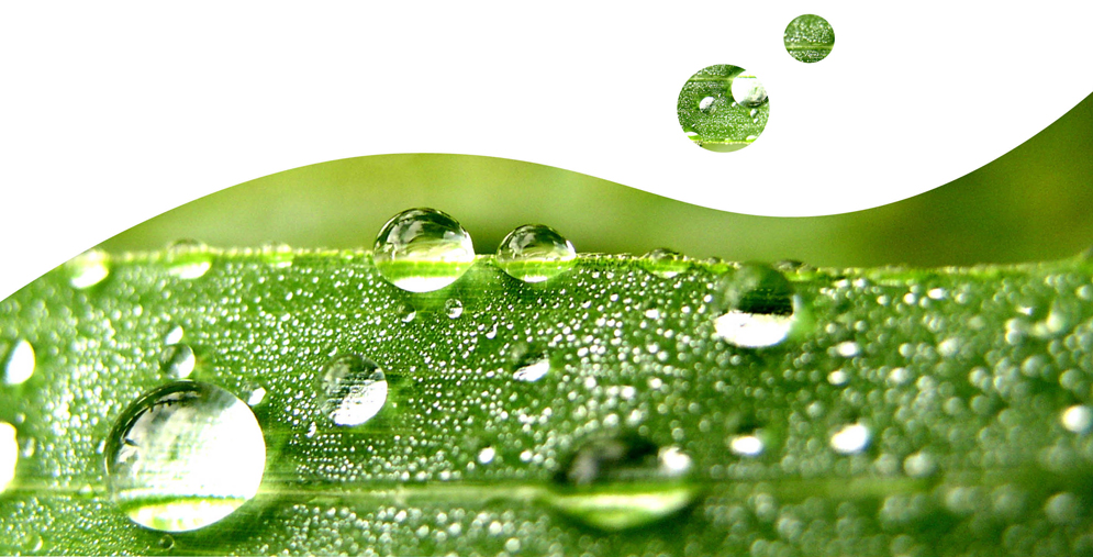 Wassertropfen