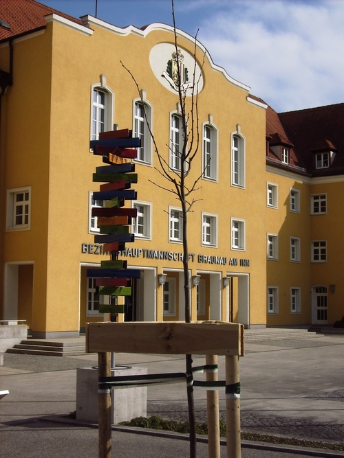 Friedenslinde vor dem Amtsgebäude der Bezirkshauptmannschaft Braunau am Inn