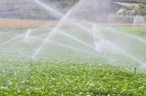Eferding Bewasserung Landwirtschaftlicher Flachen