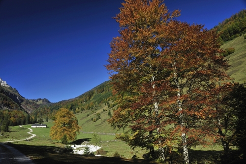 Bodinggraben, Nationalpark Kalkalpen