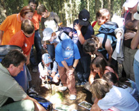 BoFö Gruber bringt Kindern den Wald näher (Foto: Anna Stadler/HS Ried in der Riedmark) 