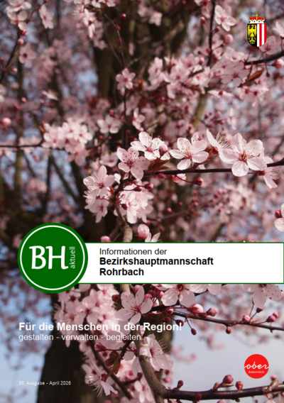 Titelblatt BH Zeitung rosa Kirschblüten