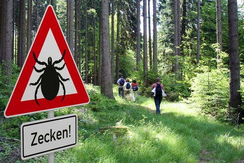 Schild mit Zeckenwarnung im gefährdetem Gebiet im Wald