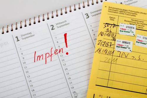 Impfpass mit Terminkalender