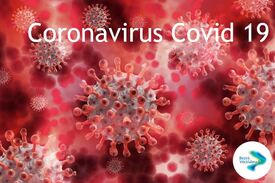 Bild Coronavirus mit Bezeichnung