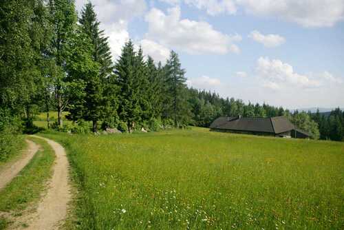 Mühlviertel, Landschaft, Weg