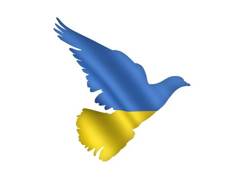 Friedenstaube in den Farben der Ukrainischen Flagge