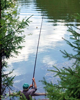 Ein Angler mit Angelrute am Ufer sitzend, Blick zum Wasser, umgeben von Nadelbäumen 
