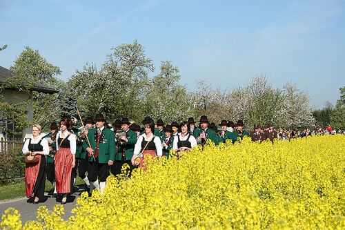 Brauchtumsgruppen marschieren beim Georgiritt-Fest durch die Bad Wimsbacher Landschaft