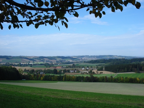 Hügellandschaft im Raum Pichl bei Wels 