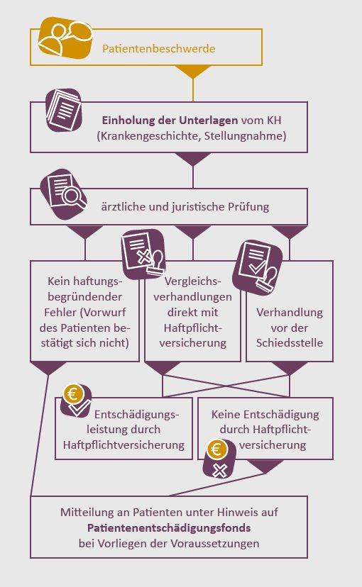 Bild vergrößern: Schematische Darstellung der Oö. Patientenvertretung Schematische Darstellung der Oö. Patientenvertretung