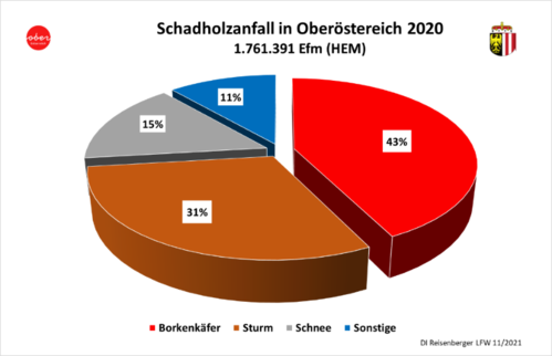 Schadholzanfall 2020