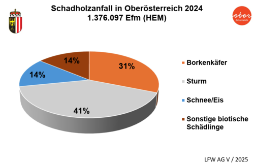 Schadholzanfall in Oberösterreich 2024