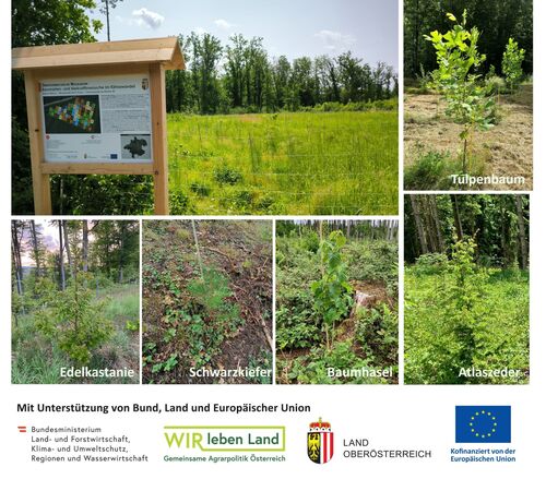 Waldlabore Waldlabore