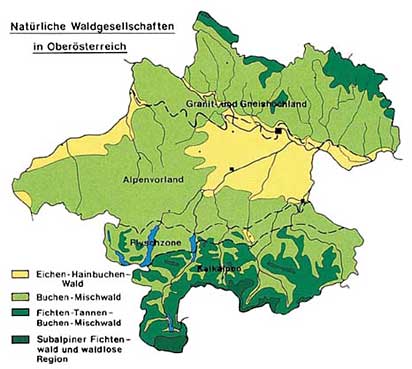 Karte: Natürliche Waldgesellschaften in Oberösterreich 