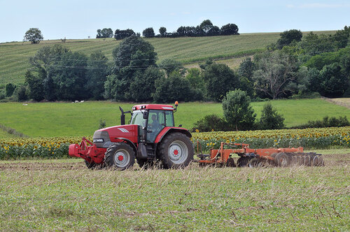 Bauer mit Traktor auf Feld 