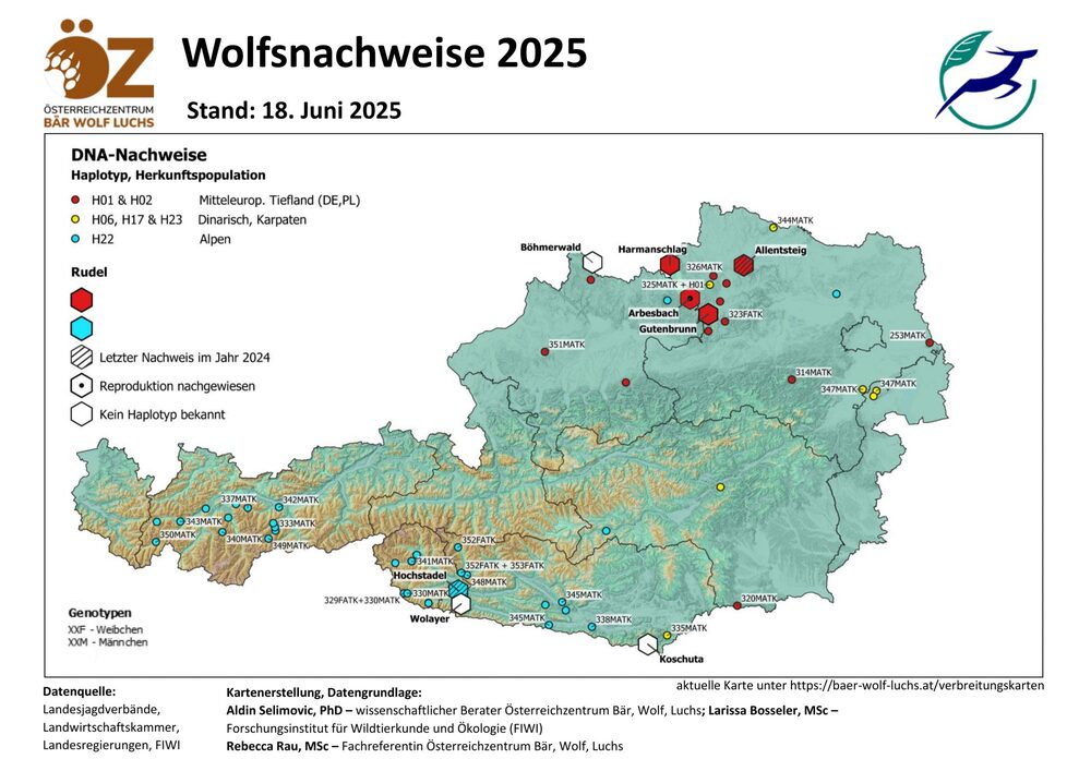 Bild vergrößern: Wolfsnachweise Stand 18.06.2025 Wolfsnachweise Stand 18.06.2025