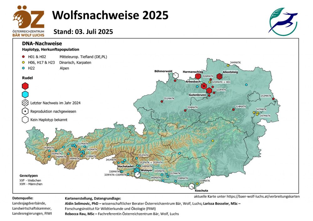 Wolfsnachweise 2025 - Stand 03.07.2025