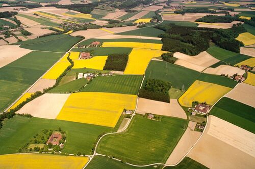 landwirtschaftliche Produktionslandschaft in Hargelsberg