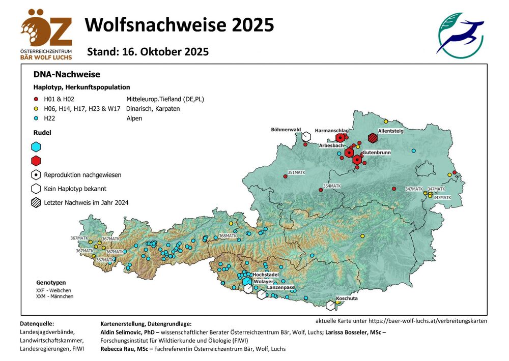 Bild vergrößern: Wolfsnachweise Stand 16.10.2025 Wolfsnachweise Stand 16.10.2025