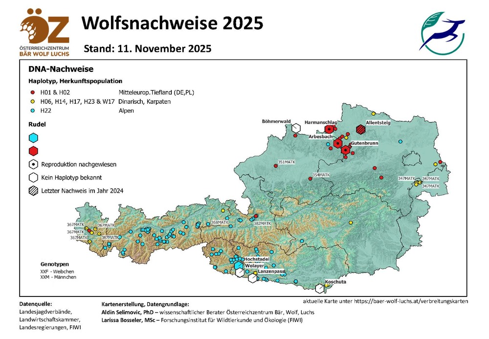 Wolfsnachweise Stand 11.11.2025