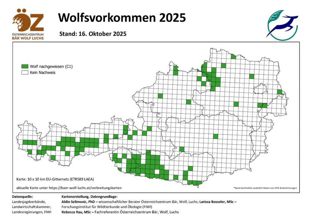 Bild vergrößern: Wolfsvorkommen Stand 16.10.2025 Wolfsvorkommen Stand 16.10.2025
