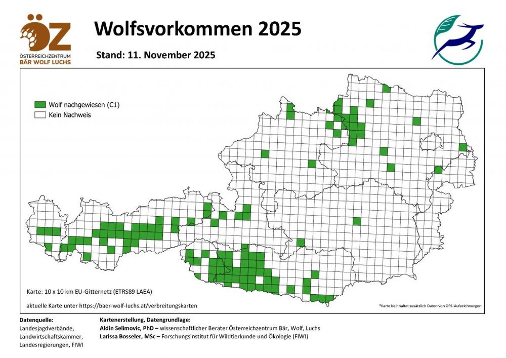 Wolfsvorkommen - Stand 11.11.2025