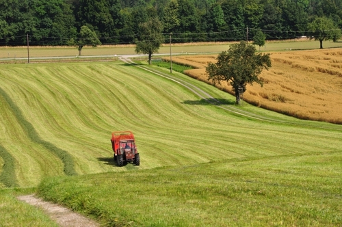 Traktor mit Ladewagen bei Heueinbringung