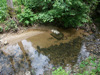 Typische morphologische Ausprägung eines naturnahen Mühlviertler Baches: Kettenbach bei Reichenthal; 10.6.2005 