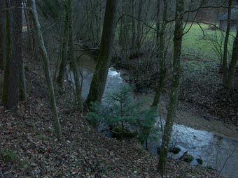 Tobrabach am Fuß von Sandsteinfelsen bei Tobra; für Sandgebiete typisch sandreiches Bachbett; naturnaher Wald mit etwas Tannenverjüngung. 