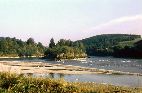 Die strukturreiche Flusslandschaft bei der Innenge bei Vornbach im Jahr 1964 