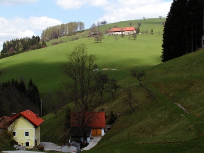 intensiv genutzte Mähwiesen in Bereich von Ebersegg und Blumau, 5 km südöstlich von Kleinraming, Blick nach Nordosten aus dem hinteren Großkohlergraben