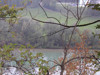 Uferrandstreifen mit Weiden, Flußabwärts von Ternberg 