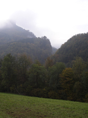 Einmündung des Wenbaches, kurz vor Ternberg 