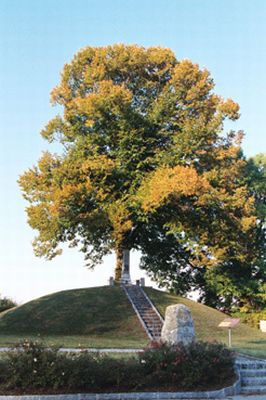 Bauernhügel zu Pinsdorf 