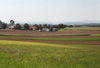 Agrarlandschaft, im Hintergrund Siedlungsweiler von Obstbaumbeständen eingefasst 